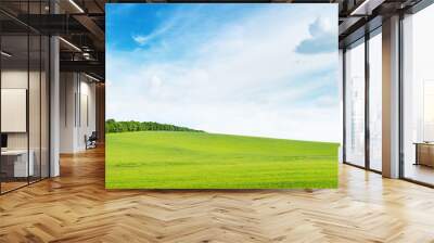 green meadow and blue sky Wall mural