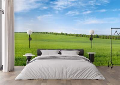 Green spring field and blue sky with white clouds. Wall mural