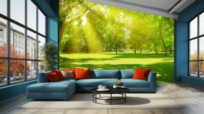 Sunrise in beautiful park Wall mural