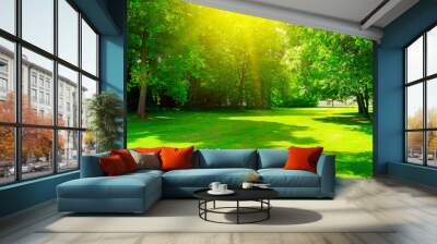 Sunrise in summer beautiful park Wall mural