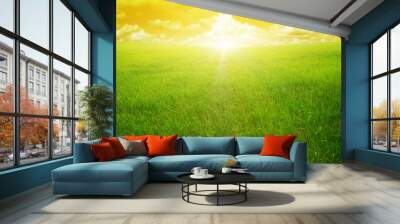 sunset on a spring field Wall mural