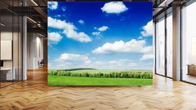 The green field and white clouds. Wall mural