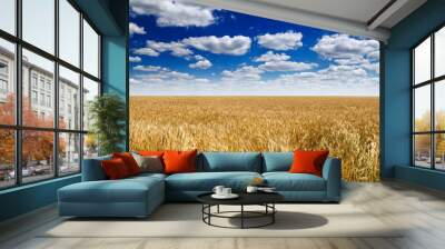 wheat field and blue sky Wall mural