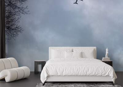 Airliner plows the cloudy sky Wall mural