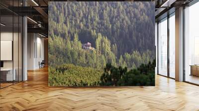 The Giaff refuge in the Friulian Dolomites immersed in the fir forest. Wall mural