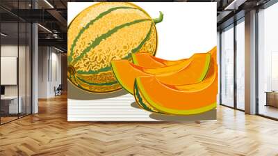 Whole melon and two slices on a white background. Wall mural