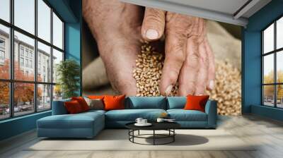 Cloes-up male hands holding grain of wheat Wall mural