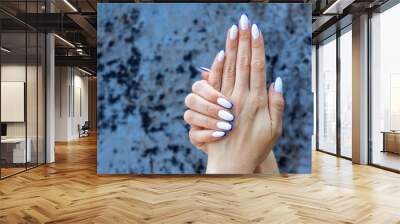 Female hands with a beautiful colored french manicure ombre white with blue. Wall mural