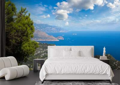 Capri island in  Italy Wall mural