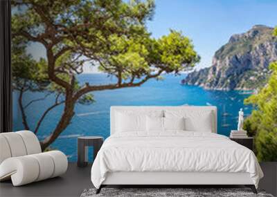 Capri island  in Italy Wall mural