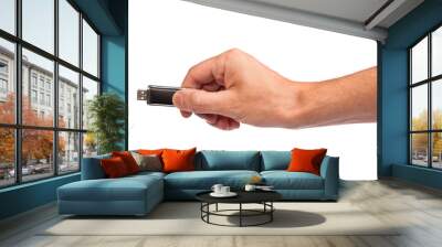 Closeup image: hand holding black USB data storage or connecting Wall mural