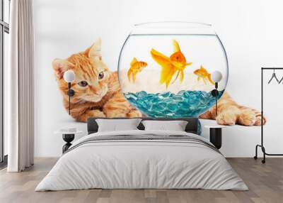 Goldfish and cat Wall mural