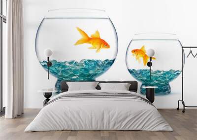 Goldfish Wall mural