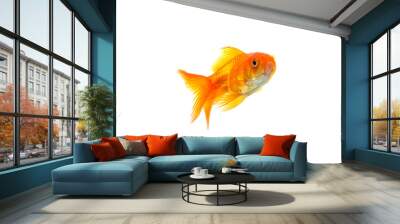 Goldfish Wall mural