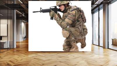 Modern soldier with rifle Wall mural