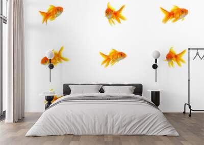 Set of gold fishes Wall mural