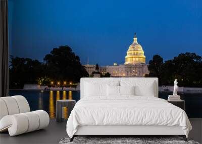 The United States Capitol building Wall mural