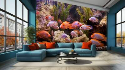 Tropical freshwater aquarium Wall mural