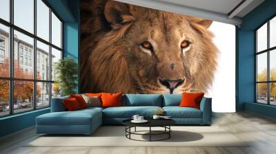 Lion great king portrait isolated on white Wall mural