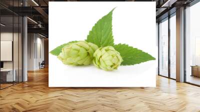 hop isolated on white Wall mural