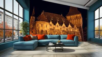 castle at the night time, Budapest Wall mural