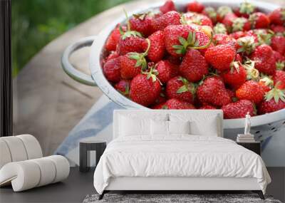 colander with strawberries in the garden Wall mural