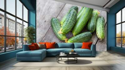 fresh young cucumbers Wall mural