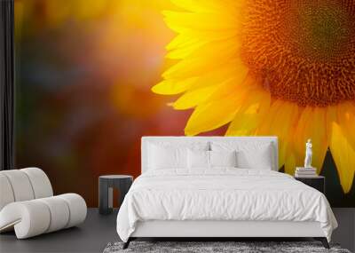 sunflower Wall mural