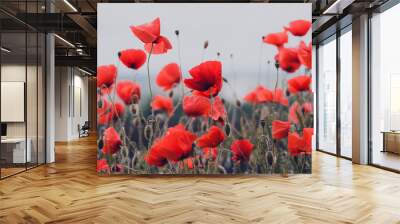 the poppies field Wall mural