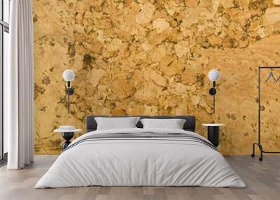 texture of cork Wall mural