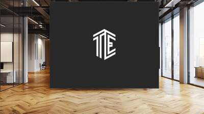 Letters TE logo monogram template two lines outline style. isometric shape hipster initials ET, combination T and E marks for wedding invitation Wall mural