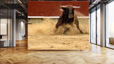 toro en plaza de toros de españa Wall mural