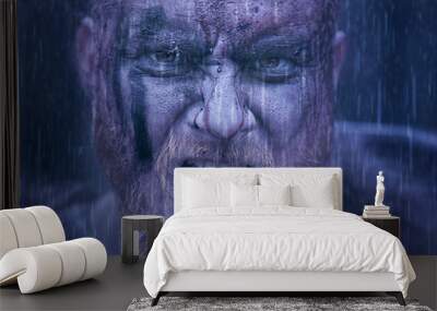 viking on the rain Wall mural