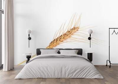 Bell wheat ears of wheat on the background - a symbol of fertility and wealth. Wall mural