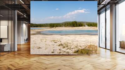 Geyser in Biscuit Basin in Yellowstone National Park in Wyoming Wall mural