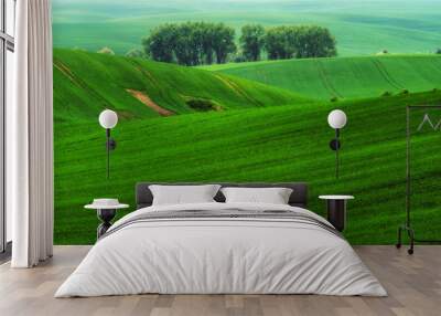 hilly field. spring morning. a beautiful sunrise in the field Wall mural