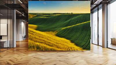 Panoramic landscape with beautiful green hills. Abstract landscape. Nature of Ukraine
 Wall mural