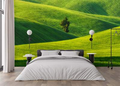 Rolling hills of green wheat fields. Amazing fairy minimalistic landscape with waves hills Wall mural