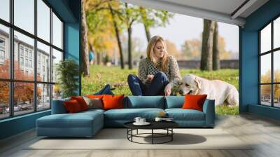 beautiful blonde is sitting on the grass in the park and playing with her dog labrador Wall mural