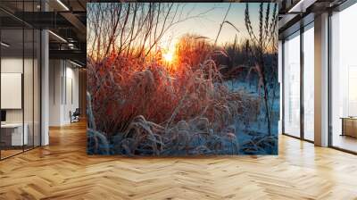 A snowy field with dry grass is illuminated by the sun dawn over the horizon. The sky is painted in red and yellow tones. Winter landscape. Wall mural