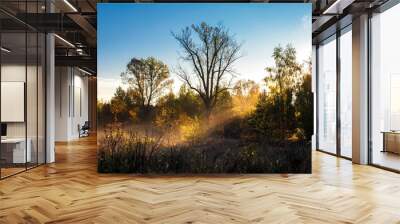 Beautiful foggy autumn scenery. Early morning landscape. Wall mural