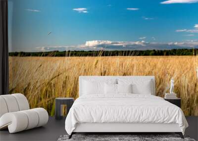 Beautiful rural landscape wheat field. Sunny day. Wall mural