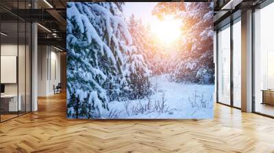 Beautiful winter landscape with snow covered trees. Wall mural