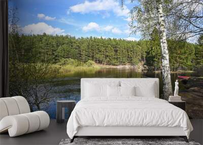 Forest river in May. Wall mural