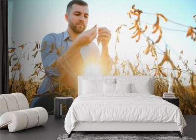 A farmer inspects a soybean field. The concept of the harvest Wall mural