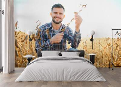 agronomist or farmer examining crop of soybeans field. Wall mural