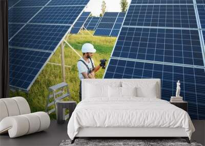 An Indian worker installs solar panels. The concept of renewable energy. Wall mural