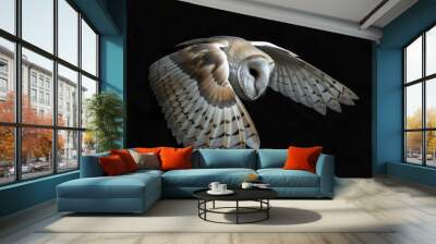 Barn Owl in Flight: Stunning Natural Image of Brown and White Owl Soaring through Europa's Skies Wall mural