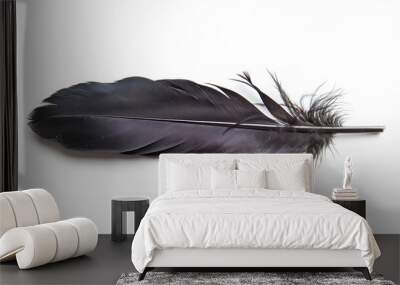 Black feather of a raven on a white background, isola Wall mural