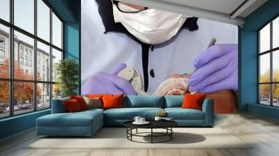 Dentist doctor working with patient Wall mural